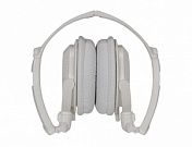 Audio/h PANASONIC RP-DJS200E-W