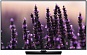 Телевизор SAMSUNG UE40H5500AKXUA Телевизор SAMSUNG UE40H5500AKXUA